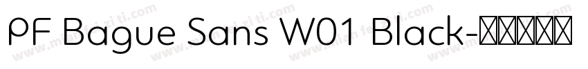 PF Bague Sans W01 Black字体转换